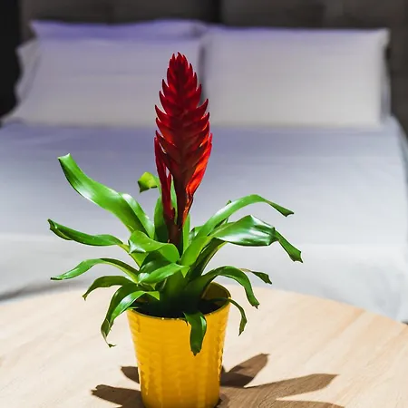 Arcolobello ベッド・アンド・ブレックファスト コラート