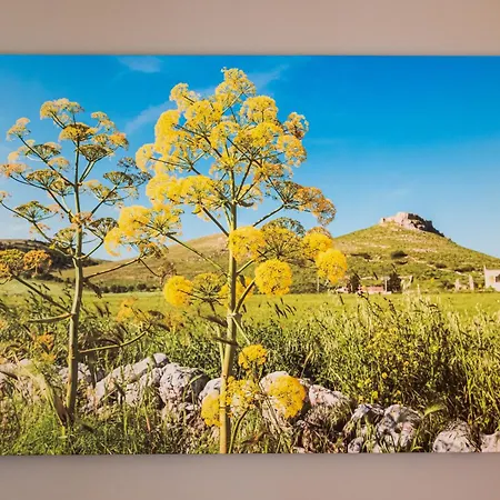 住宿加早餐酒店 Arcolobello 科拉托